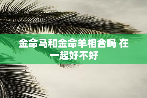 金命马和金命羊相合吗 在一起好不好