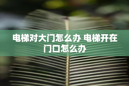 电梯对大门怎么办 电梯开在门口怎么办
