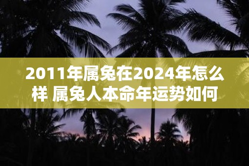 2011年属兔在2025年怎么样 属兔人本命年运势如何