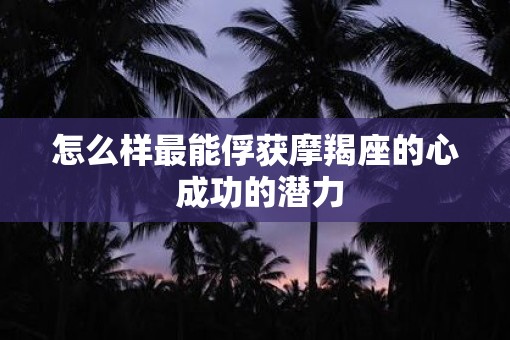 怎么样最能俘获摩羯座的心 成功的潜力