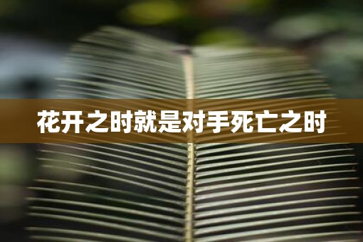 花开之时就是对手死亡之时