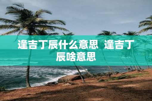 逢吉丁辰什么意思  逢吉丁辰啥意思