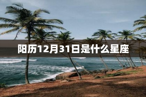 阳历12月31日是什么星座