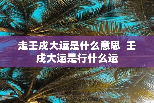 走壬戌大运是什么意思  壬戌大运是行什么运