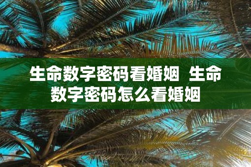 生命数字密码看婚姻  生命数字密码怎么看婚姻