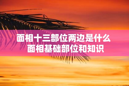 面相十三部位两边是什么  面相基础部位和知识