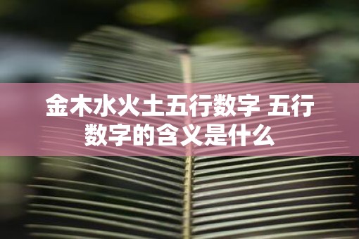 金木水火土五行数字 五行数字的含义是什么