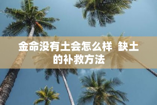 金命没有土会怎么样  缺土的补救方法