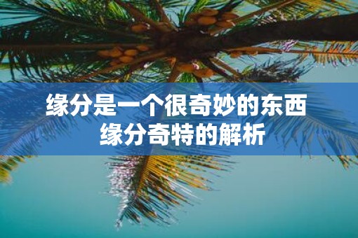 缘分是一个很奇妙的东西  缘分奇特的解析