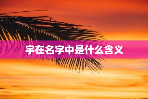 宇在名字中是什么含义