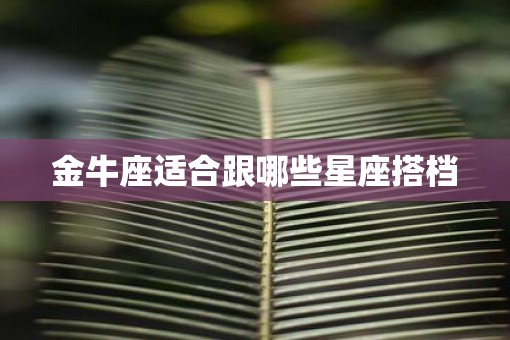 金牛座适合跟哪些星座搭档