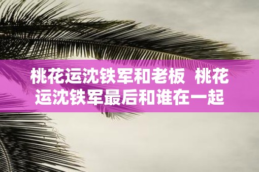 桃花运沈铁军和老板  桃花运沈铁军最后和谁在一起