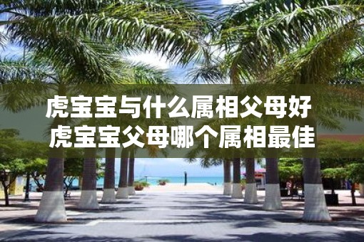 虎宝宝与什么属相父母好 虎宝宝父母哪个属相最佳