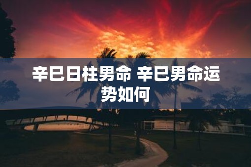 辛巳日柱男命 辛巳男命运势如何