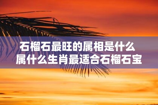 石榴石最旺的属相是什么 属什么生肖最适合石榴石宝石