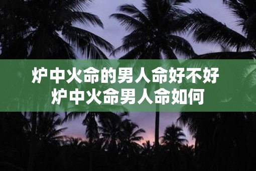 炉中火命的男人命好不好 炉中火命男人命如何 炉中火命的男人命好不好 炉中火命男人命如何