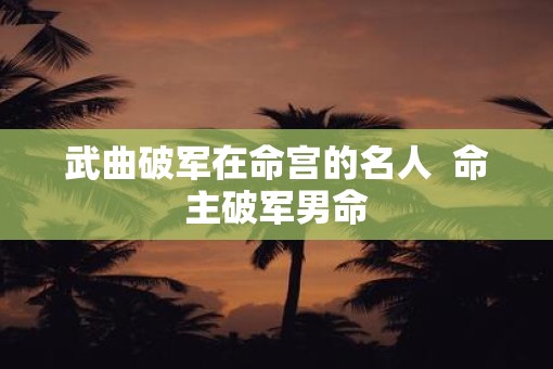 武曲破军在命宫的名人  命主破军男命