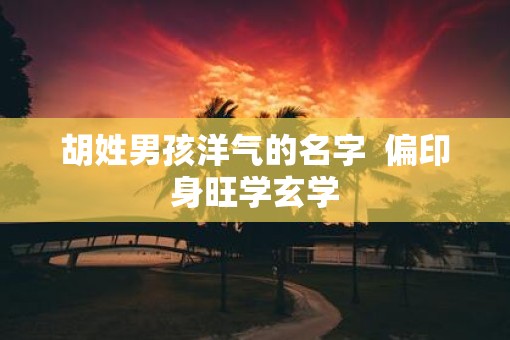 胡姓男孩洋气的名字  偏印身旺学玄学