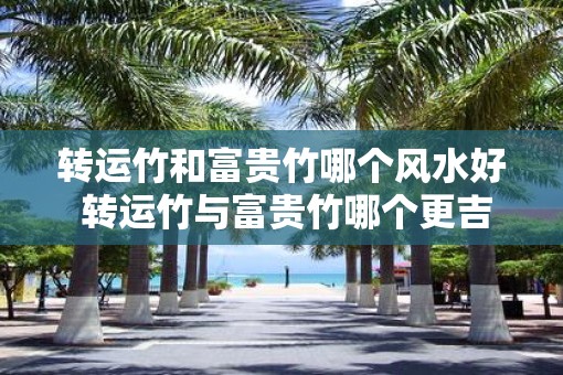 转运竹和富贵竹哪个风水好 转运竹与富贵竹哪个更吉祥