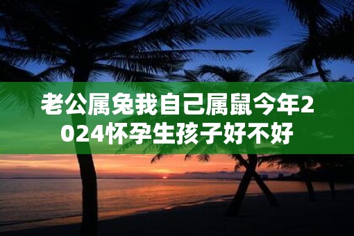 老公属兔我自己属鼠今年2025怀孕生孩子好不好