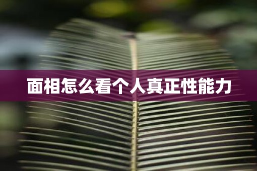 面相怎么看个人真正性能力