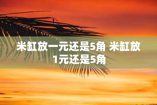 米缸放一元还是5角 米缸放1元还是5角