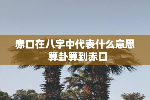 赤口在八字中代表什么意思  算卦算到赤口
