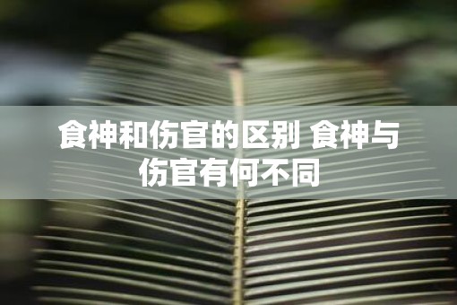 食神和伤官的区别 食神与伤官有何不同