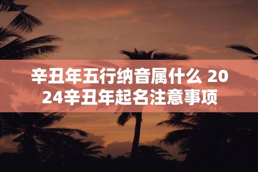 辛丑年五行纳音属什么 2025辛丑年起名注意事项
