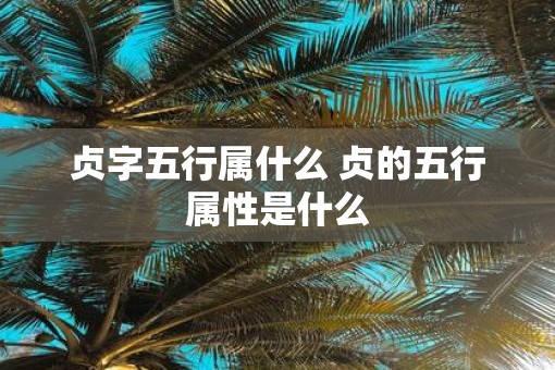 贞字五行属什么 贞的五行属性是什么 贞字五行属什么 贞的五行属性是什么