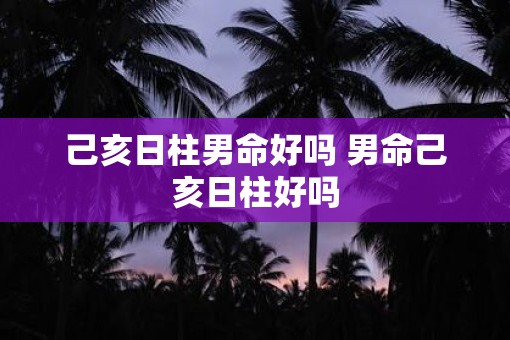 己亥日柱男命好吗 男命己亥日柱好吗