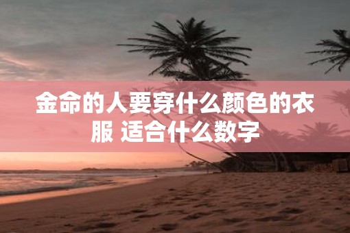金命的人要穿什么颜色的衣服 适合什么数字