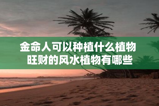 金命人可以种植什么植物 旺财的风水植物有哪些
