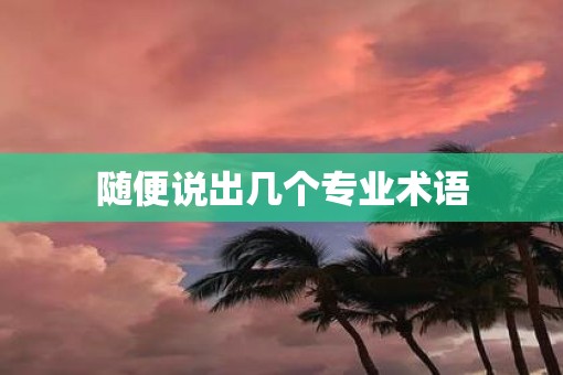 随便说出几个专业术语