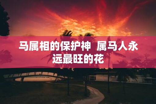 马属相的保护神  属马人永远最旺的花