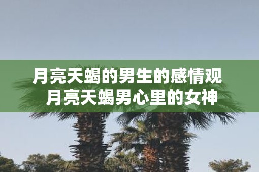 月亮天蝎的男生的感情观  月亮天蝎男心里的女神