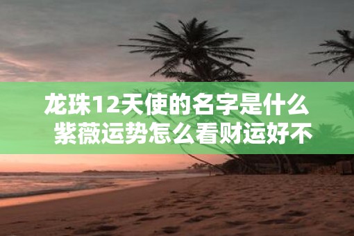 龙珠12天使的名字是什么  紫薇运势怎么看财运好不好呢女人
