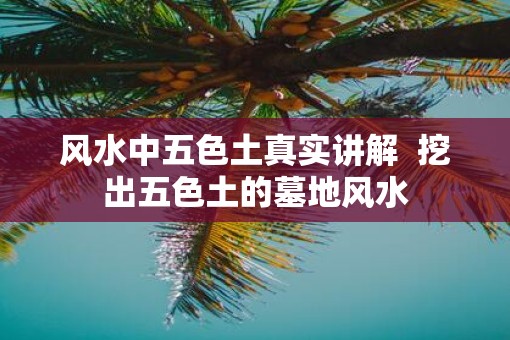 风水中五色土真实讲解  挖出五色土的墓地风水
