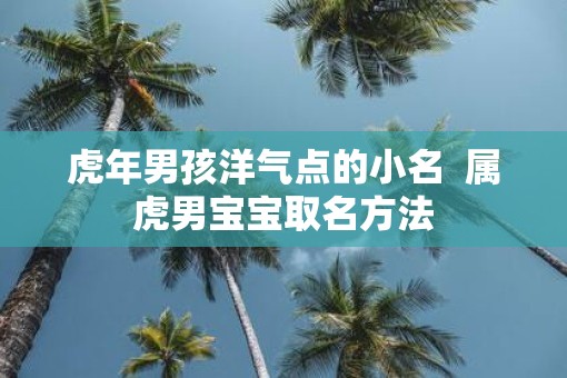 虎年男孩洋气点的小名  属虎男宝宝取名方法