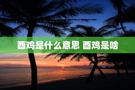 酉鸡是什么意思 酉鸡是啥