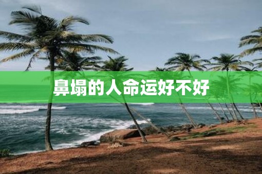 鼻塌的人命运好不好