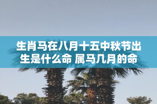 生肖马在八月十五中秋节出生是什么命 属马几月的命运最好