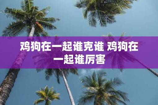 鸡狗在一起谁克谁 鸡狗在一起谁厉害