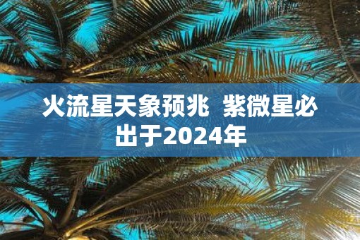 火流星天象预兆  紫微星必出于2025年