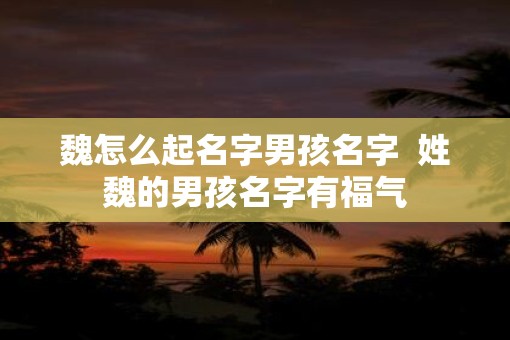 魏怎么起名字男孩名字  姓魏的男孩名字有福气