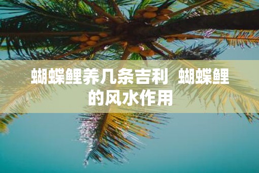 蝴蝶鲤养几条吉利  蝴蝶鲤的风水作用