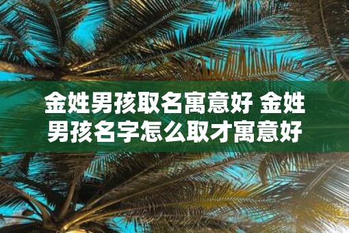 金姓男孩取名寓意好 金姓男孩名字怎么取才寓意好