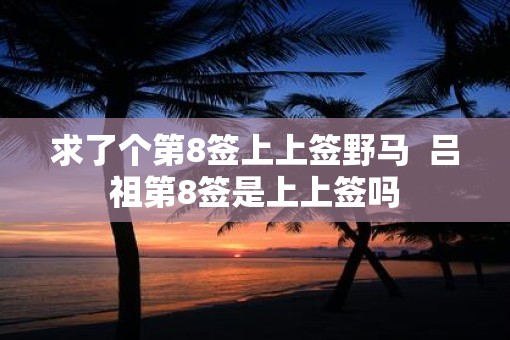 求了个第8签上上签野马  吕祖第8签是上上签吗