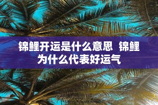 锦鲤开运是什么意思  锦鲤为什么代表好运气
