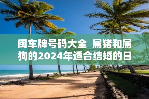 闽车牌号码大全  属猪和属狗的2025年适合结婚的日子